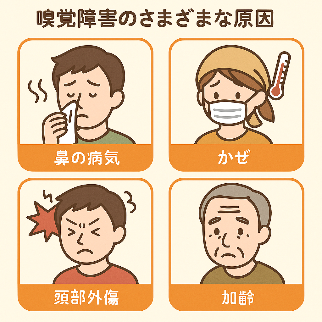嗅覚障害の様々な原因を示すイラスト