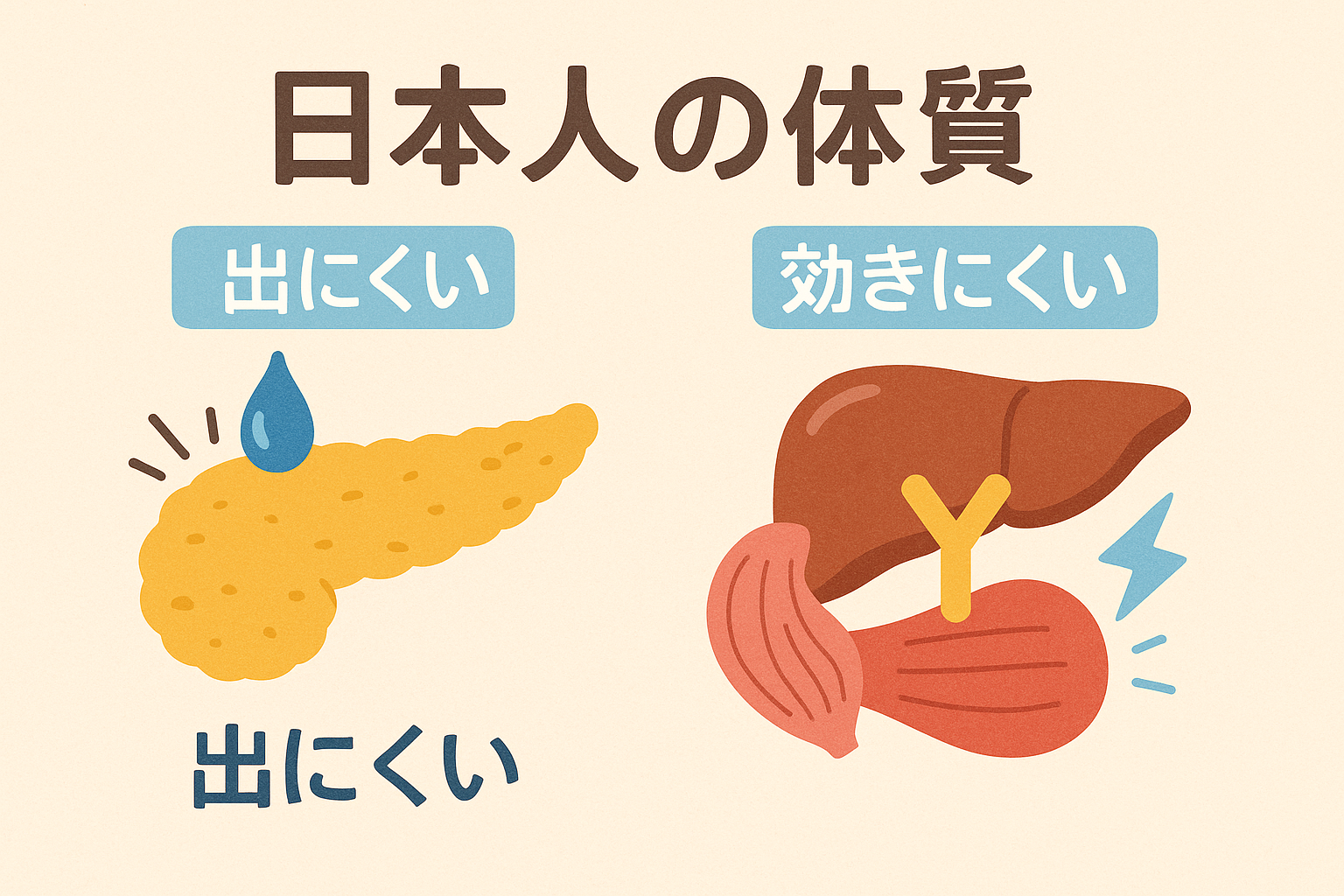 膵臓（インスリン分泌）とインスリン受容体（効きやすさ）をモチーフに、働きが弱い様子を分かりやすく表現した図解